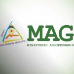 Foto: MAG Nicaragua
