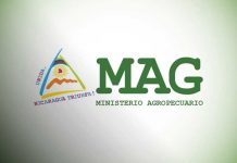 Nicaragua: Iniciativa de Ley para la absorción del INTA por el Ministerio Agropecuario Foto: MAG Nicaragua