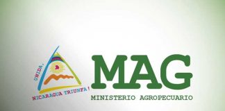 Foto: MAG Nicaragua