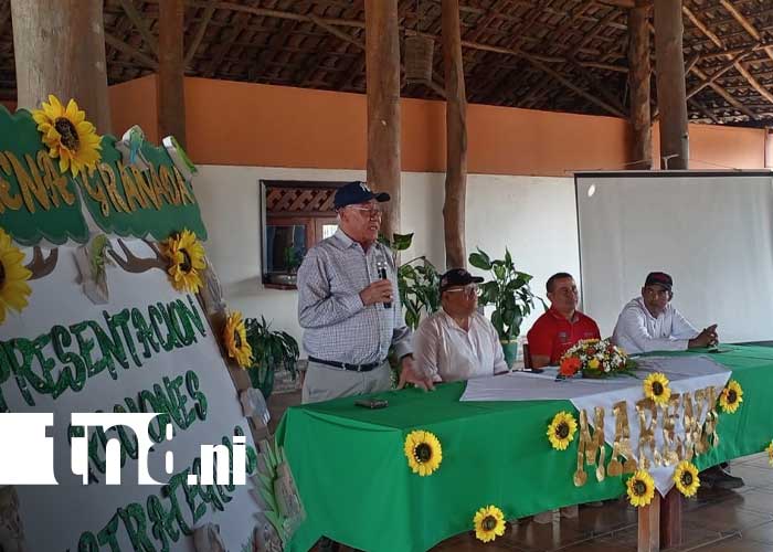 Foto: Presentación del plan ambiental de Granada en 2026 / TN8