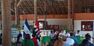 Foto: Presentación del plan ambiental de Granada en 2026 / TN8