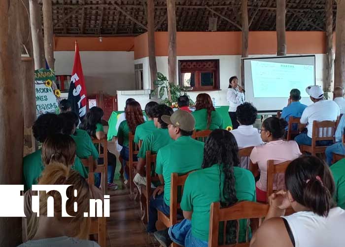 Foto: Presentación del plan ambiental de Granada en 2026 / TN8