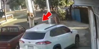 Foto: Delincuente captado robando espejo en el Jonathan González /TN8