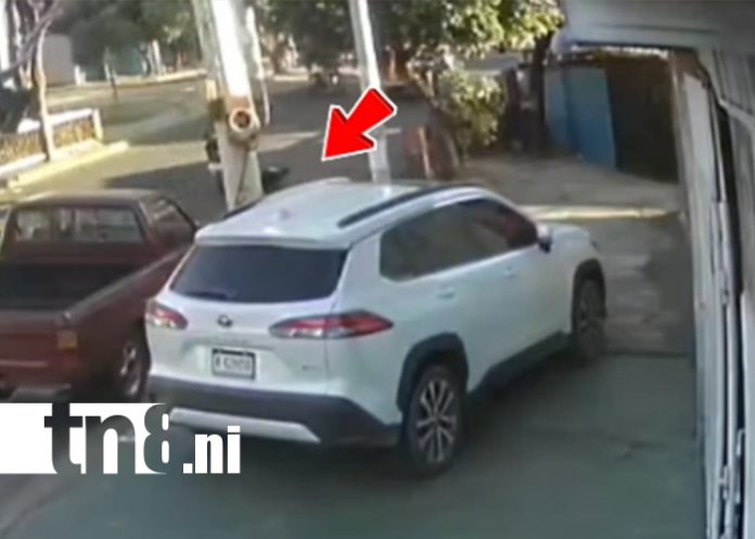 Foto: Delincuente captado robando espejo en el Jonathan González /TN8