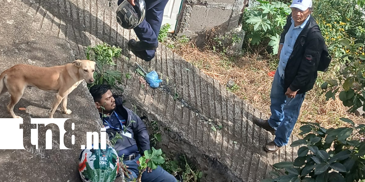 Foto: Se lleva el susto de su vida al caer a un guindo en Carretera Sur /TN8