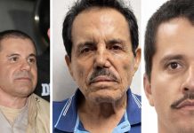 Foto: Caen los tres capos más poderosos de México /Cortesía