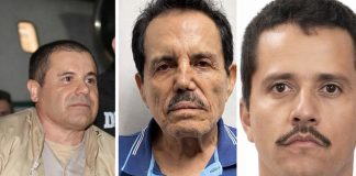 Foto: Caen los tres capos más poderosos de México /Cortesía