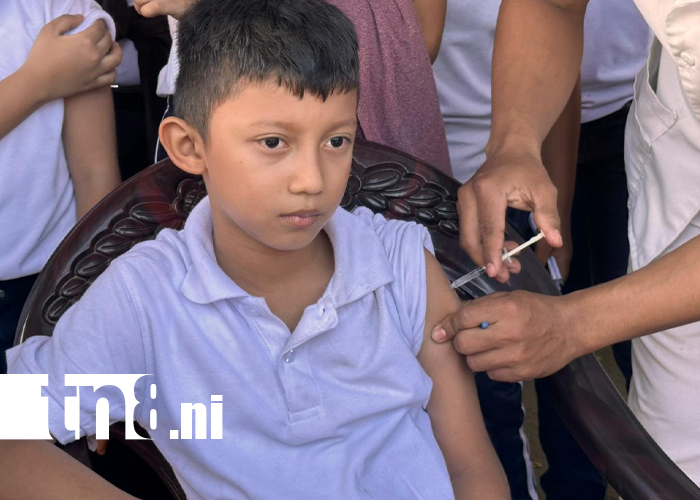 Foto: Jornada intensiva vacuna a más de 500 niños contra el VPH /TN8