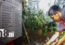 Flores y consignas reafirman legado de Héroes y Mártires de Los Sabogales Foto: Homenaje a los Héroes y Mártires de Los Sabogales, en Masaya / TN8