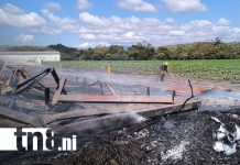 Estelí: Pérdidas superan los USD 200 mil tras siniestro en secadora de tabaco Foto: Incendio en fábrica de tabaco en Estelí / TN8