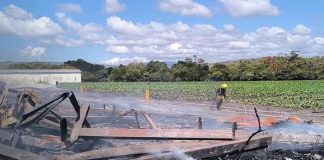 Foto: Incendio en fábrica de tabaco en Estelí / TN8