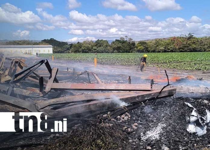 Foto: Incendio en fábrica de tabaco en Estelí / TN8