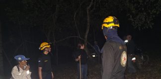 Foto: Incendio forestal en Dipilto sigue activo y moviliza brigadas /TN8