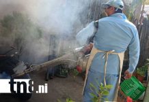 Foto: Fumigación y abatización por Managua / TN8