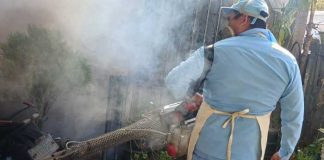 Foto: Fumigación y abatización por Managua / TN8