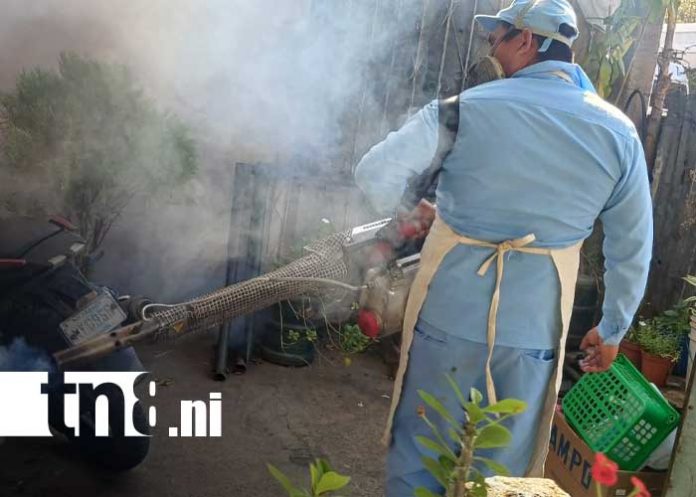 Foto: Fumigación y abatización por Managua / TN8