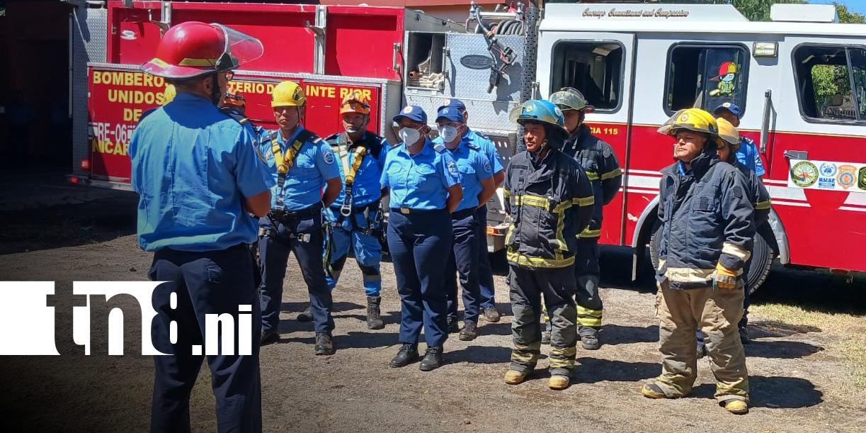 Foto: Bomberos ponen en práctica técnicas de rescate con caída de árboles / TN8