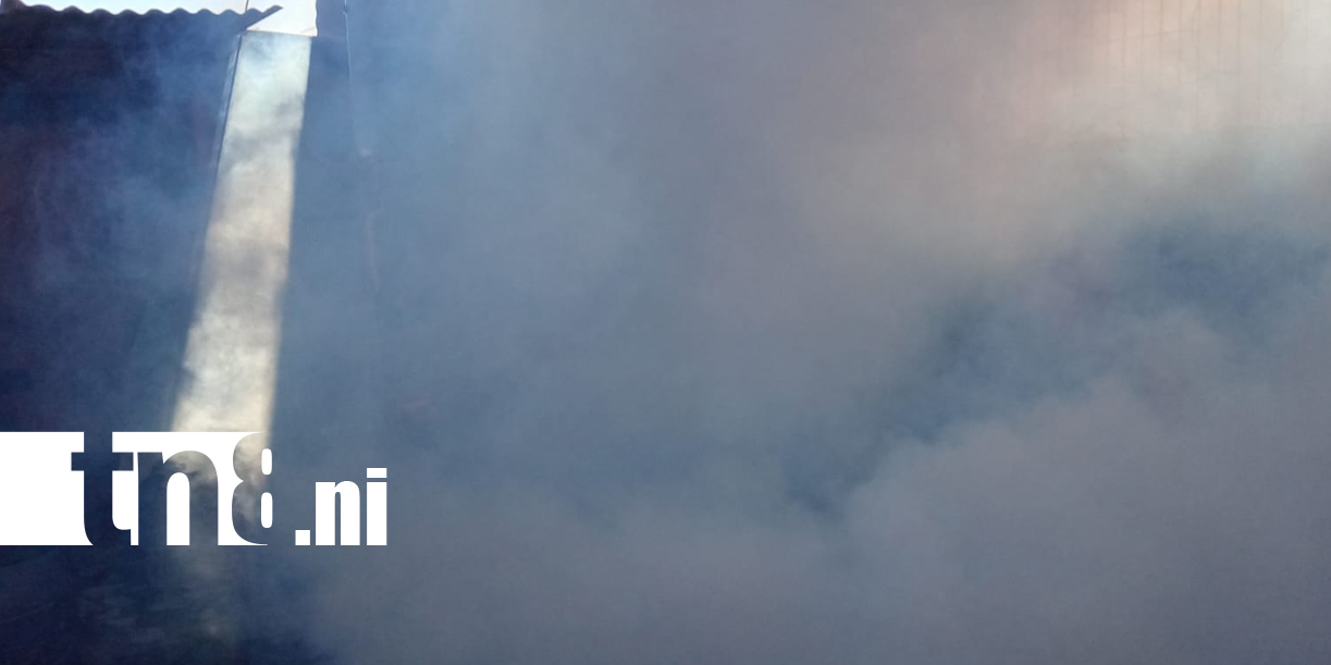 Foto: La Tenderí se une contra el zancudo con jornada antiepidémica /TN8