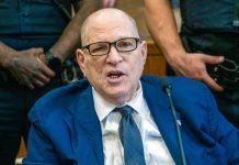 Harvey Weinstein vinculado a nuevas revelaciones del caso Epstein Foto: Harvey Weinstein figura en los archivos Epstein /Cortesía