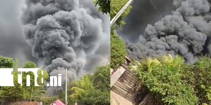 Foto: Voraz incendio consume bodega de electrodomésticos en Chichigalpa /TN8