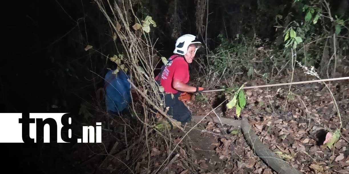 Foto: Abejas provocan muerte de joven en El Coyotepe/TN8