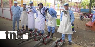 Foto: Managua intensifica prevención de dengue durante el verano / TN8