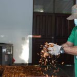Foto: Campaña “Verde Que Te Quiero Verde” recibe apoyo del Banco de Semillas/Cortesía