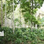 Foto: Sangriento inicio de marzo en Jinotega/TN8