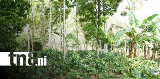 Foto: Sangriento inicio de marzo en Jinotega/TN8