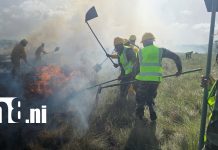 Autoridades presentan Plan de Prevención de Incendios Forestales en Bilwi Foto: Autoridades presentan Plan de Prevención de Incendios Forestales en Bilwi/ TN8
