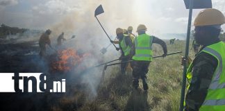 Foto: Autoridades presentan Plan de Prevención de Incendios Forestales en Bilwi/ TN8