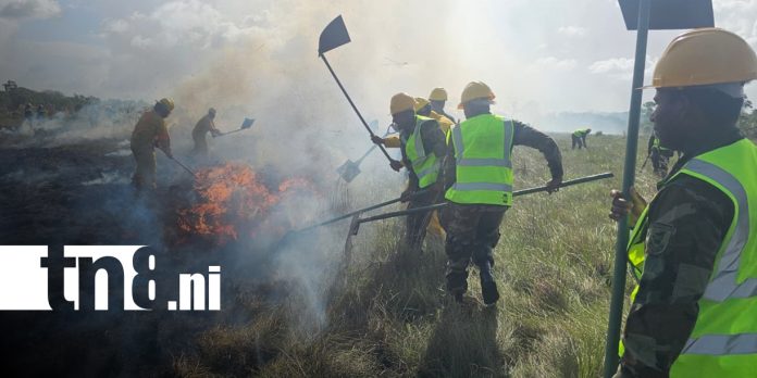 Foto: Autoridades presentan Plan de Prevención de Incendios Forestales en Bilwi/ TN8