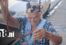 Entre fe y tradición: doña Mercedes elabora la emblemática flor de cimarra en León Foto: Tradición de la cimarra sigue viva en León / TN8