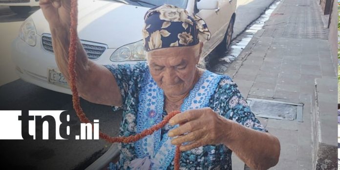 Foto: Tradición de la cimarra sigue viva en León / TN8
