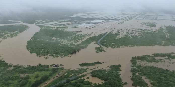 Foto: Crisis climática en Ecuador /cortesía