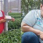 Foto: IPSA certifica 13.94 toneladas de plantas ornamentales para exportación/cortesía