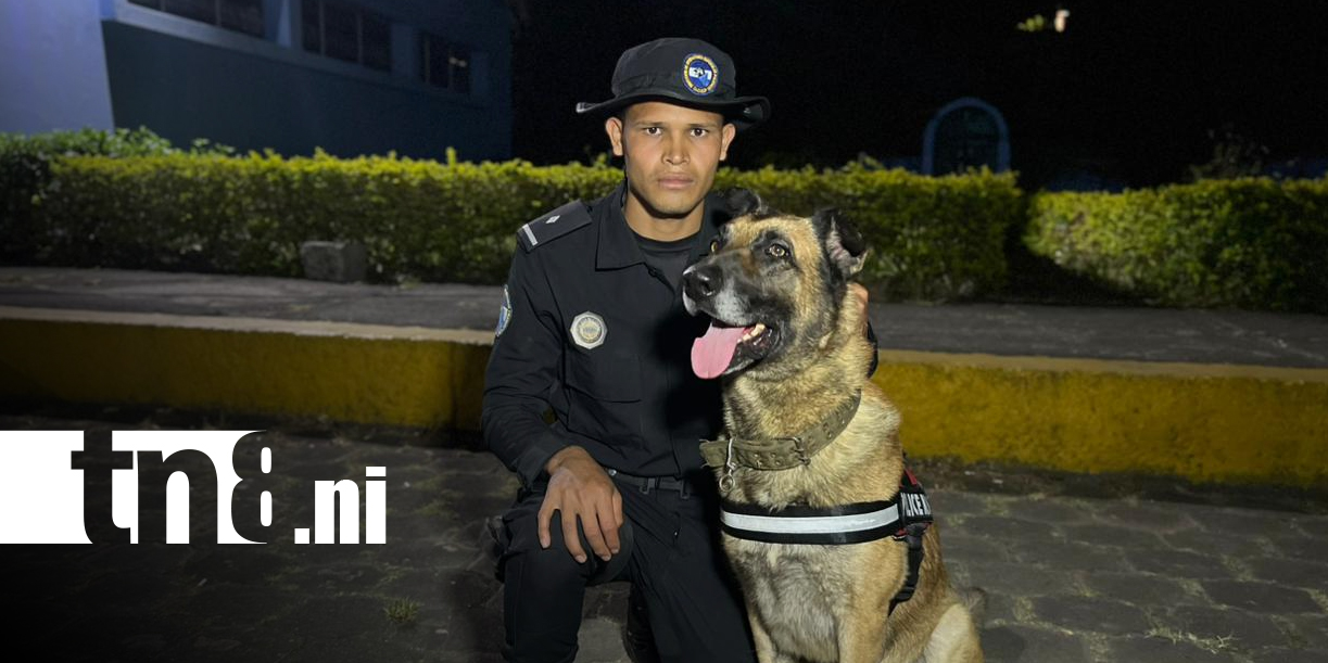 Foto: Suboficial Juan José Barrera y su compañero Duke, los ángeles de la búsqueda en Jinotega/ TN8