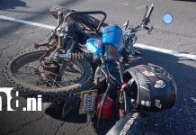Motociclista provoca accidente al irrespetar el semáforo en Managua Foto: Motociclista provoca accidente al irrespetar el semáforo en Managua/TN8