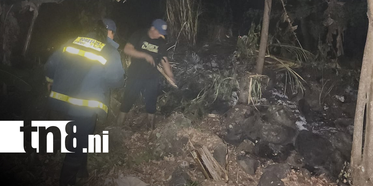 Foto: Incendio avanza sin control en Ometepe y alarma a pobladores/TN8
