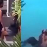 Foto: Impactante caso en Colombia /cortesía