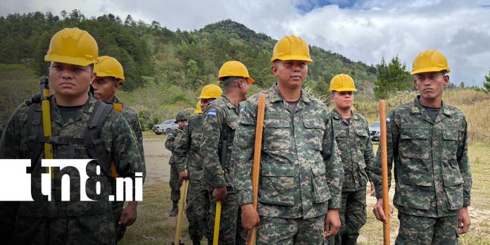 Foto: Nueva Segovia refuerza prevención ante incendios en verano/TN8