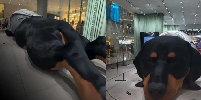 Foto: Bangkok celebra la instalación interactiva más tierna del año/Cortesía