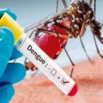 Foto:Casos de dengue y malaria disminuyen en Nicaragua/Cortesía