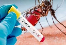Foto:Casos de dengue y malaria disminuyen en Nicaragua/Cortesía