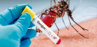 Foto:Casos de dengue y malaria disminuyen en Nicaragua/Cortesía