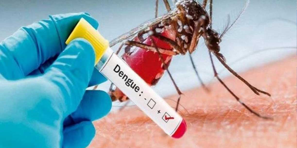 Foto:Casos de dengue y malaria disminuyen en Nicaragua/Cortesía