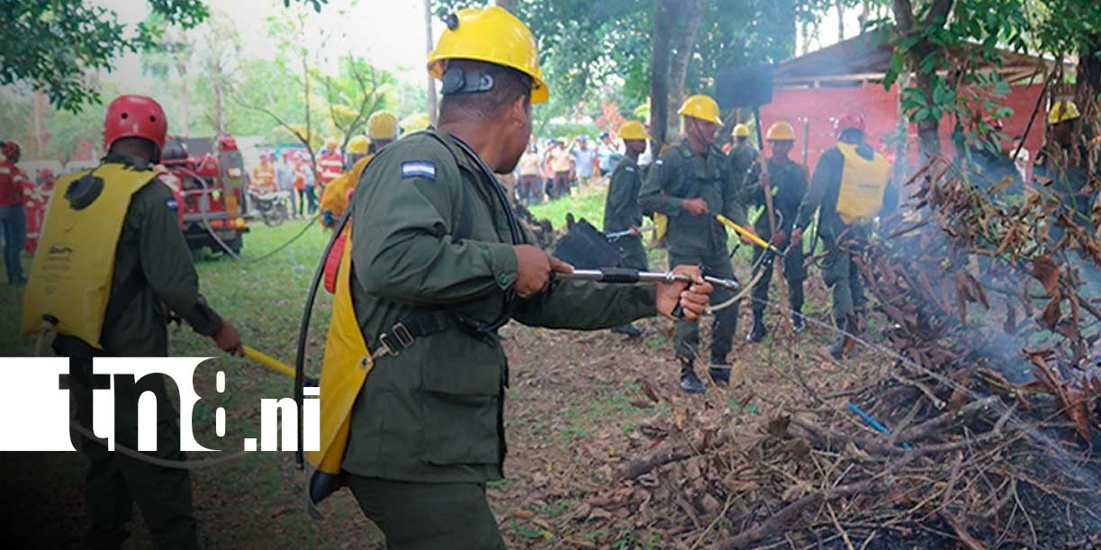 Foto: Ejército refuerza plan contra incendios/TN8