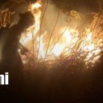 Incendio de maleza moviliza bomberos en Granada Foto: Incendio de maleza moviliza bomberos en Granada/TN8