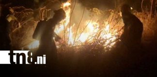 Foto: Incendio de maleza moviliza bomberos en Granada/TN8