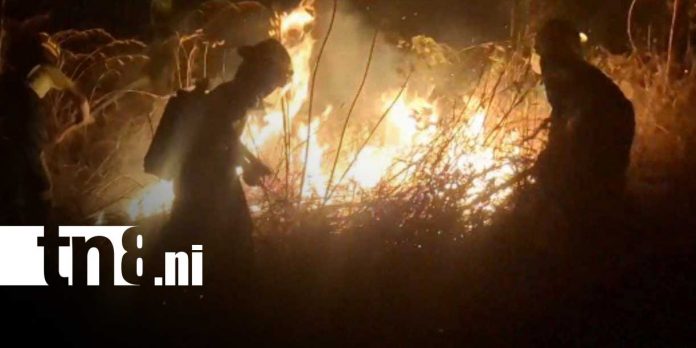 Foto: Incendio de maleza moviliza bomberos en Granada/TN8 Foto: Incendio de maleza moviliza bomberos en Granada/TN8